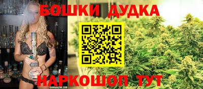 индика Канаш