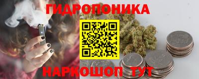 индика Канаш