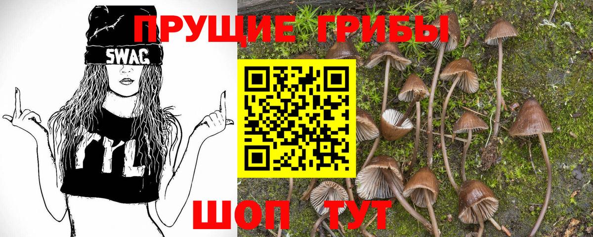 Галлюциногенные грибы Psilocybe  Псилоцибиновые грибы Magic Shrooms  Вход с VPN  Кувандык 